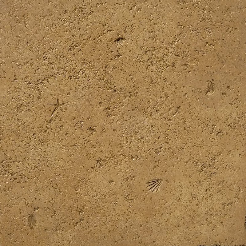 PEAUX - ROCHE MARINE